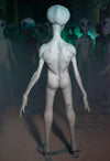 Roswell Alien Prop back view