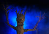The Haunted Tree Halloween prop spreads its scary arms and is used in haunts and Halloween scenes