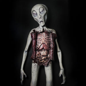 Alien Autopsy