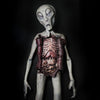 Alien Autopsy