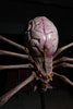Alien Spider Artist Proof BROWN w/ Blue Veins