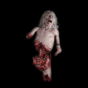 Die Zombie Die