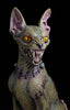 FrankenCat Halloween cat prop by Distortions Unlimited