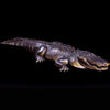 Hungry Gator