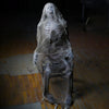 Mortal Remains