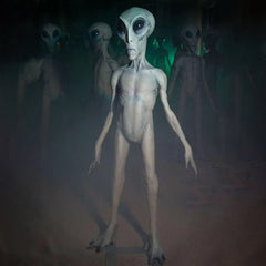 Roswell Alien Prop Display Life-Sized 6 feet tall – Distortions Unlimited
