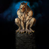 Wicked Wolf Display