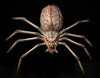 Best Halloween spider prop made of latex and foam for spooky scenes
