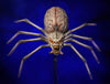 Big Alien Spider Halloween prop for home haunts and haunted houses