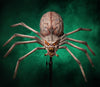 Alien Spider prop with giant brain and scary face