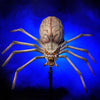 Alien Spider Halloween prop by Distortions Unlimited prowls its creepy scene