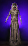 Banshee Legend Halloween decor