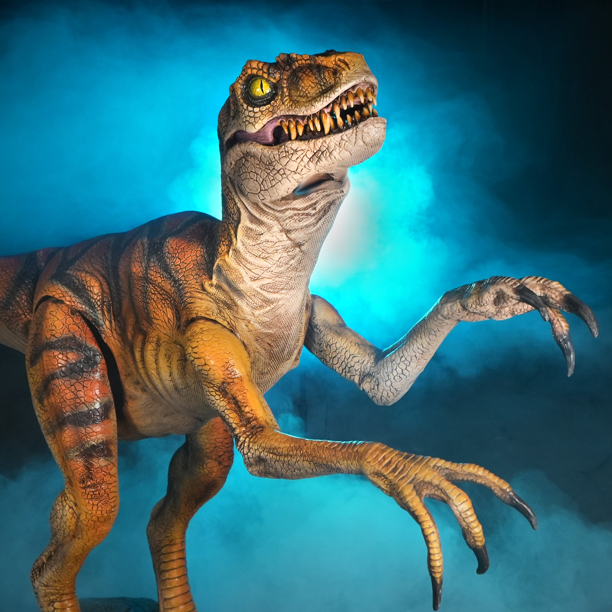 Disor Raptor How To Draw A Raptor Dinosaur Step By Step