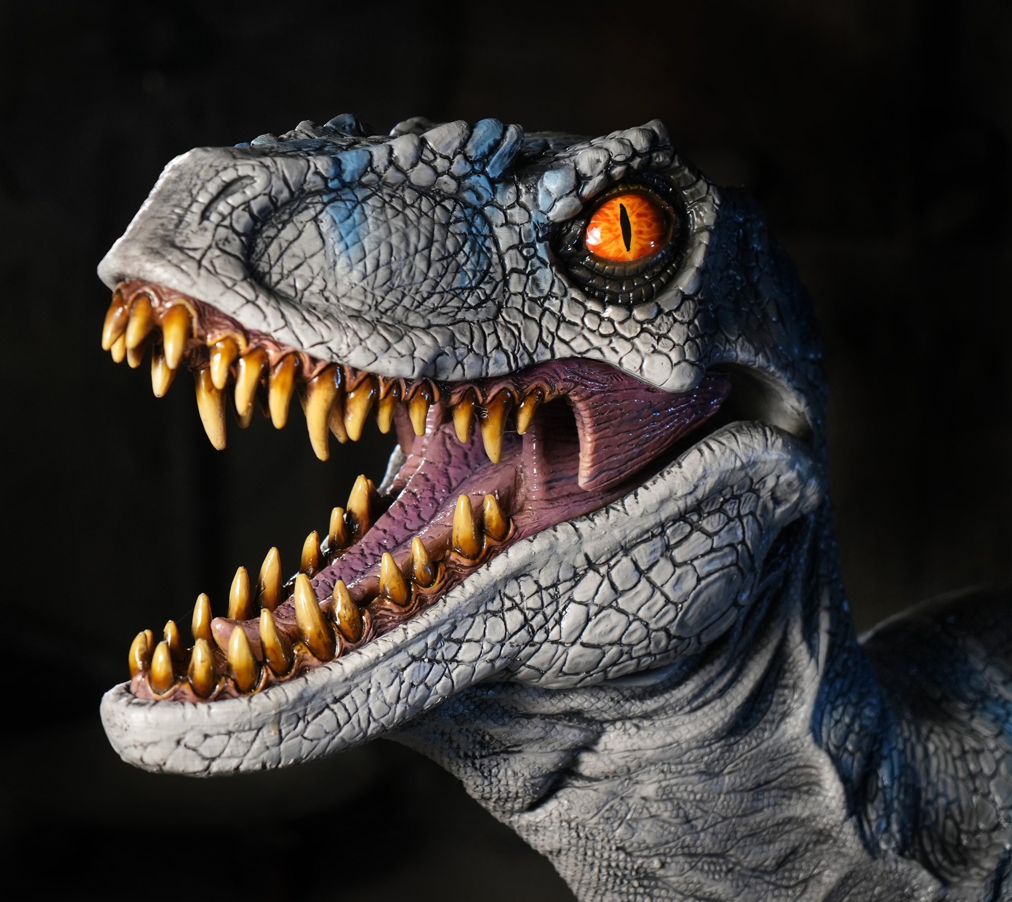 Disor Raptor Raptor Display Standing Velociraptor Dinosaur Prop 9ft. Long ...