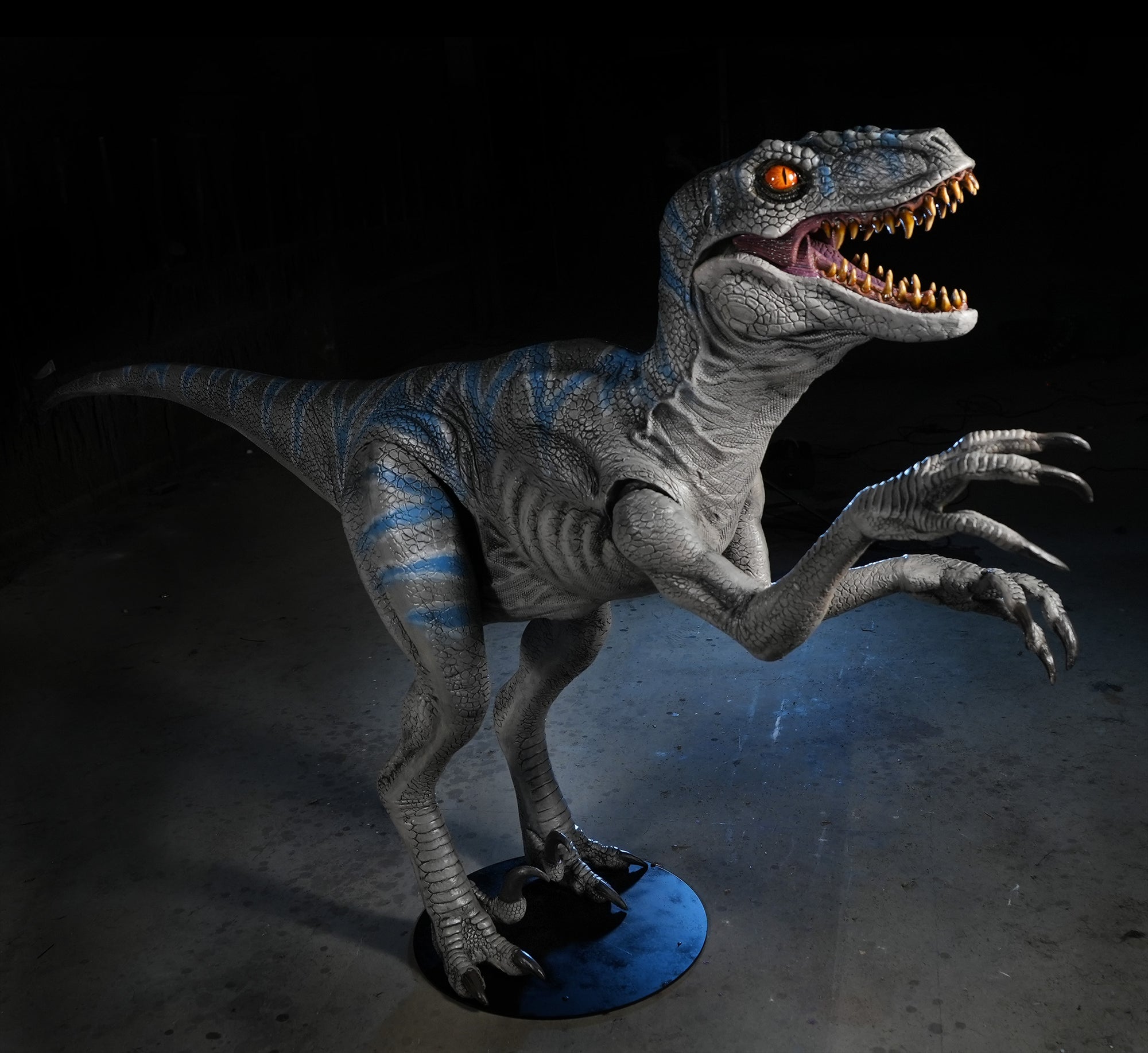 Raptor Display Standing Velociraptor Dinosaur Prop 9ft. Long ...