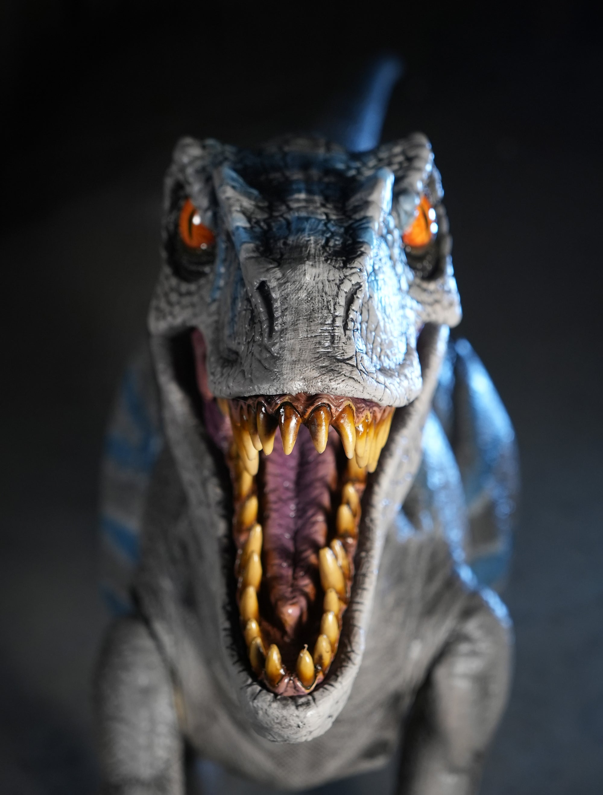 Disor Raptor Raptor Display Standing Velociraptor Dinosaur Prop 9ft. Long ...
