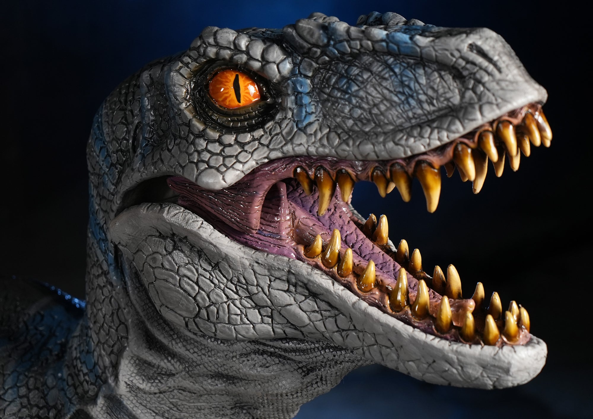 Authentic Raptor Face Raptor Display Standing Velociraptor Dinosaur Prop 9ft. Long ...