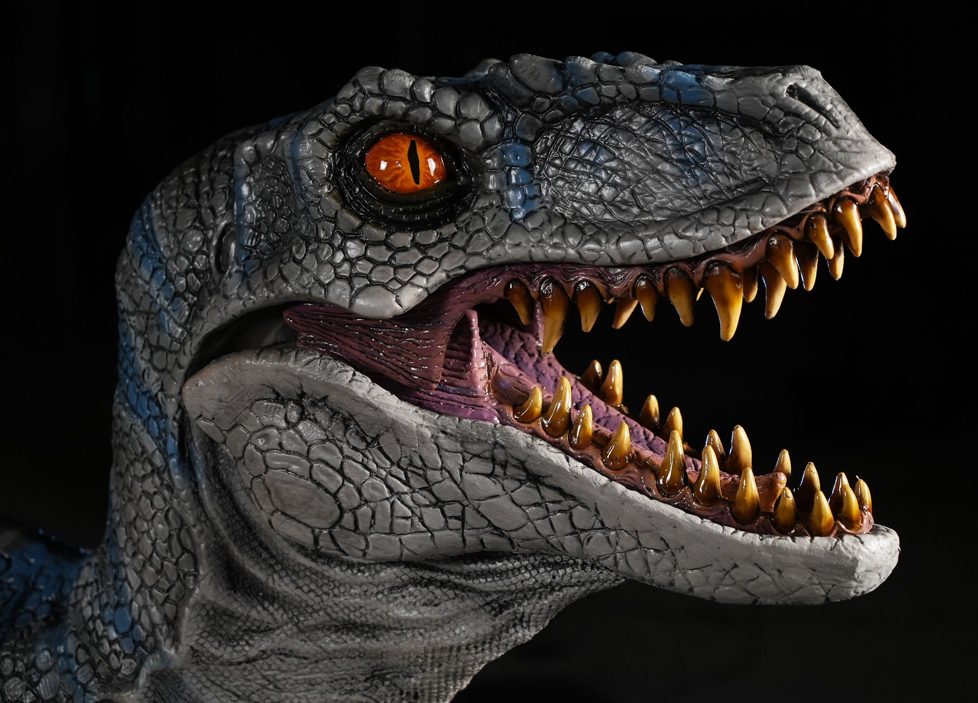 Disor Raptor Raptor Display Standing Velociraptor Dinosaur Prop 9ft. Long ...
