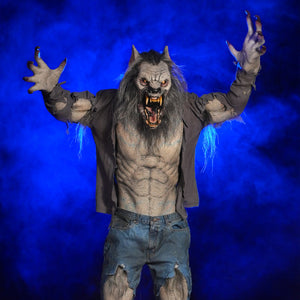 Scare Wolf Legend professional werewolf life size standing Halloween prop