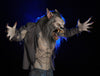 Werewolf horror prop by Distortions Unlimited
