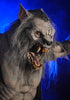 Professional werewolf Halloween horror prop scary face