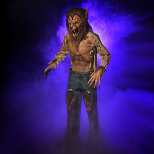 Night Beast