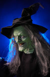 Distortions Unlimited Wicked Witch prop face