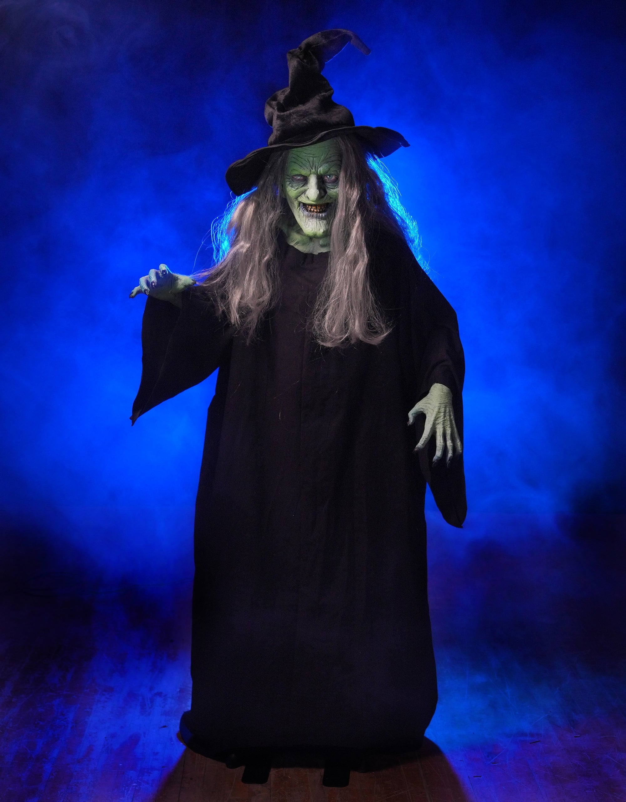 Wicked Witch Legend Life Size Halloween Decoration For Sale Online ...