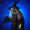 Wicked Witch Legend prop stands in the glowing fog