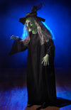 Wicked Witch Halloween prop by Distortions Unlimited