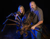 Wolf Spider Halloween props with Marsha Taub-Edmunds and Ed Edmunds