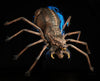 Wolf Spider Halloween spiders decorations by Distortions Unlimited