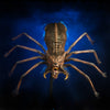 Wolf Spider Halloween spiders decorations by Distortions Unlimited