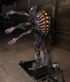 Xenovore alien professional animatronic horror prop back