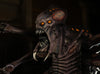 Xenovore alien professional animatronic horror prop by Distortions Unlimited