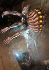 Xenovore alien professional animatronic Halloween prop back shell