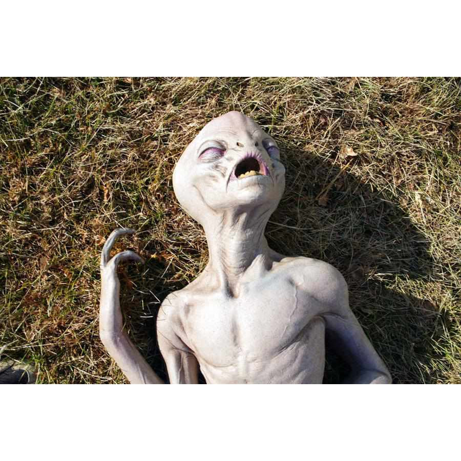 Alien Death Dead Alien Latex Prop for Halloween and UFO Scenes ...