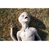 Alien Death alien prop displayed on the grass