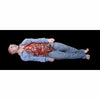 Bowel Movement bloody body prop