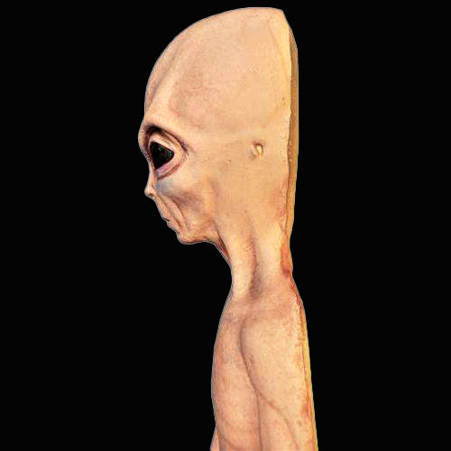 Distorted Alien 4.5 ft. Alien Prop Life-Sized Latex and Foam Filled – Distortions Unlimited