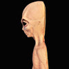 The Distortions Alien Prop is flat-backed and made of high quality latex
