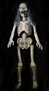 Hairy Scary Skeleton prop made of latex and foam