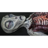 Alien Autopsy prop face by Distortions Unlimited