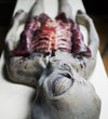 Bloody Alien Autopsy life size Roswell alien prop made of latex and foam