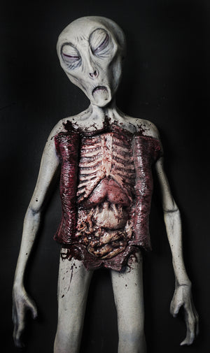 Alien Autopsy life size Roswell alien prop made of latex and foam