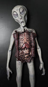 Alien Autopsy latex prop for sale by Distortions Unlimited