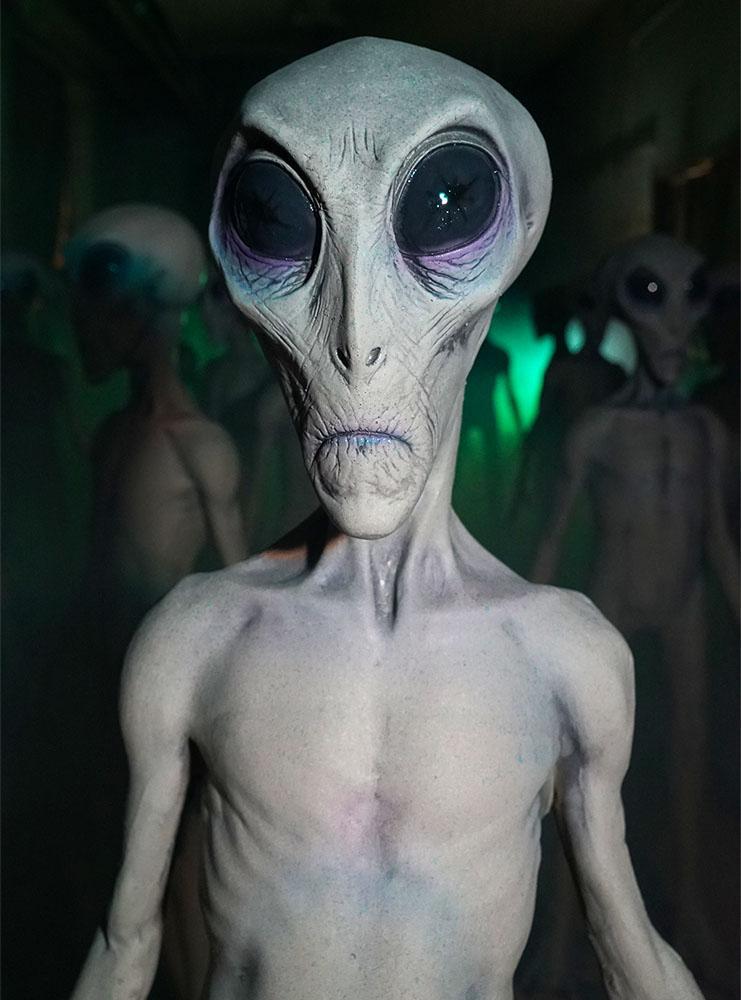 Distorted Alien Roswell Alien Prop Display Life-Sized 6 feet tall – Distortions Unlimited