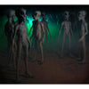 Group of Roswell Alien Props by Distortions Unlimited