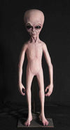 Alien Prop standing over 4 feet made of latex and foam filled. Thse alien props are made of high quality materials. Made at Distortions this lifesized alien doll is suitable for many scenes. 