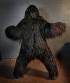 Movie Gorilla Costume by Distortions Unlimited